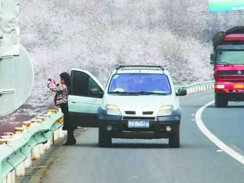 低速载货汽车油耗多少